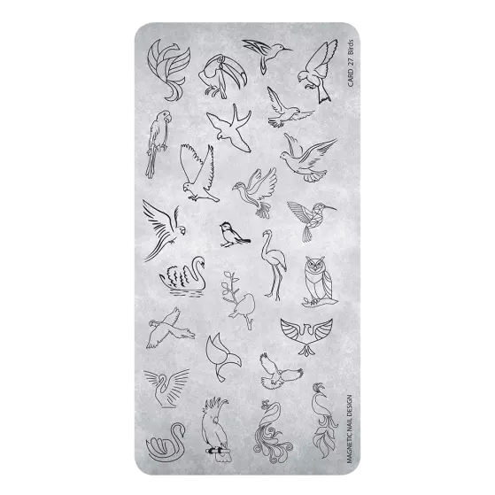 SP Birds